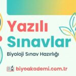 12. Sınıf Biyoloji 2. Dönem 1. Yazılı Sınav Soruları